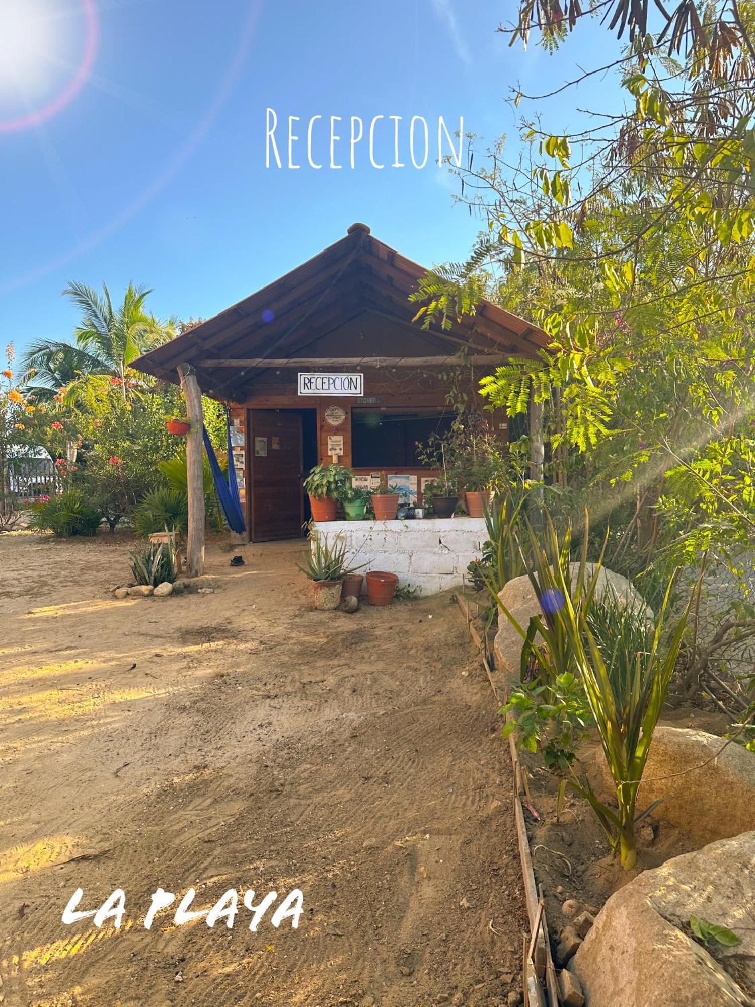 Hotel La Playa Mazunte Exteriör bild