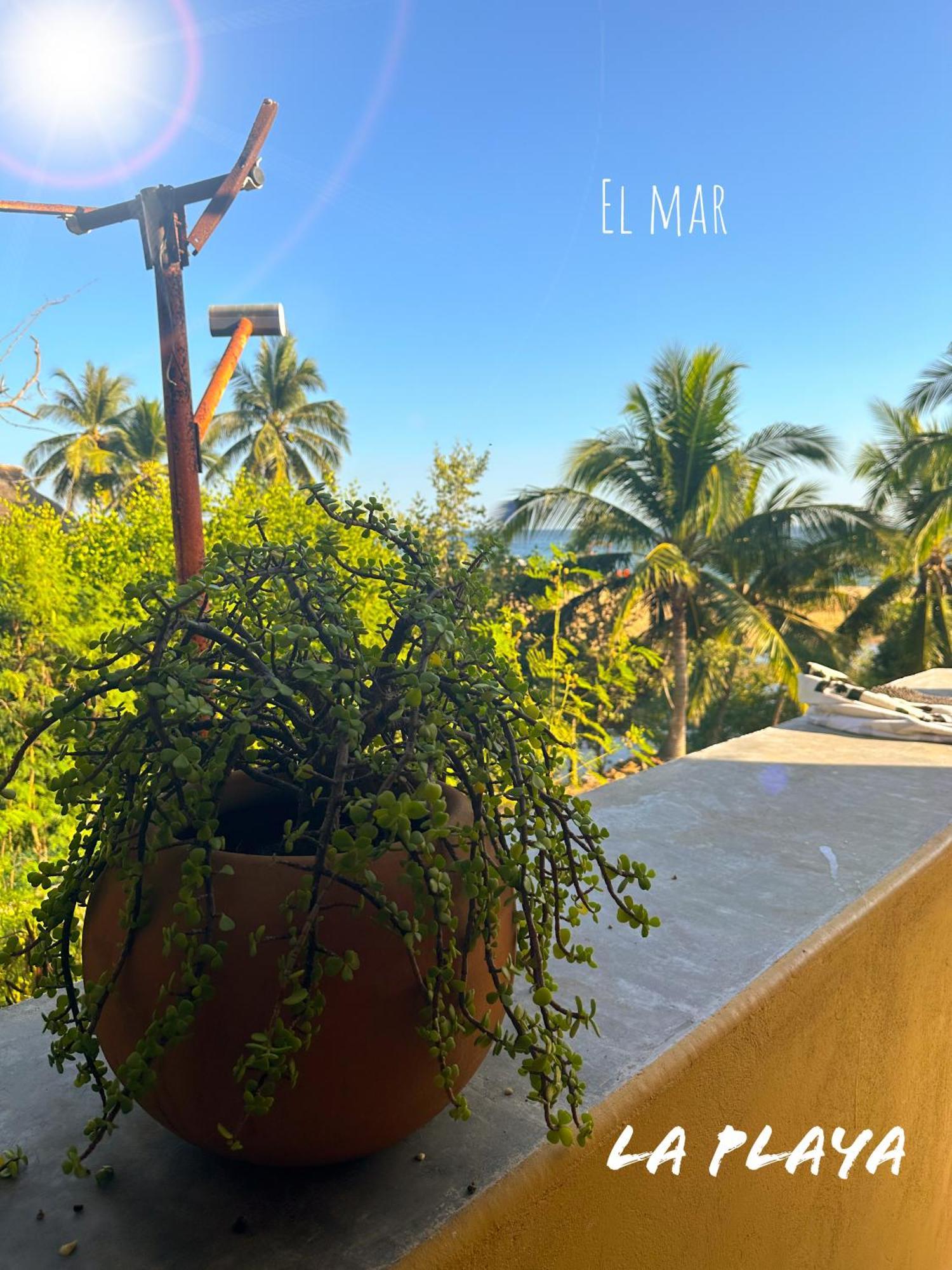 Hotel La Playa Mazunte Exteriör bild