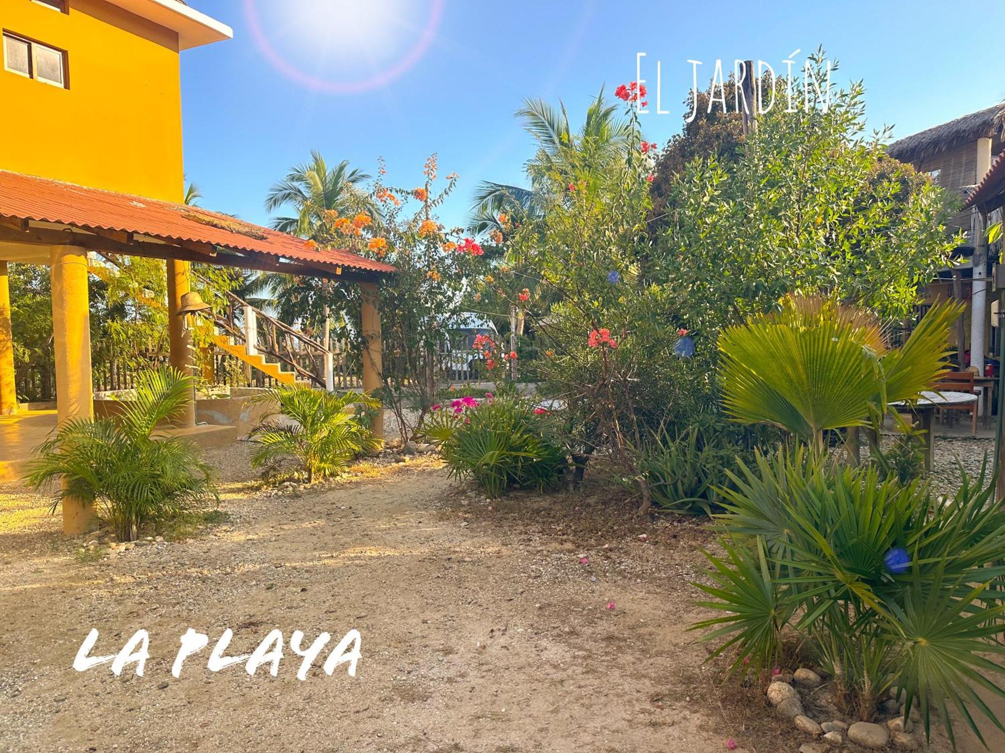Hotel La Playa Mazunte Exteriör bild